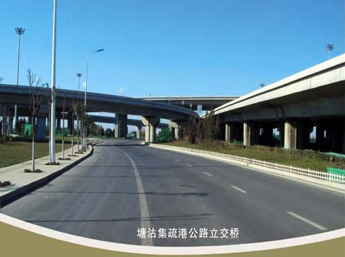 长寿案例展示